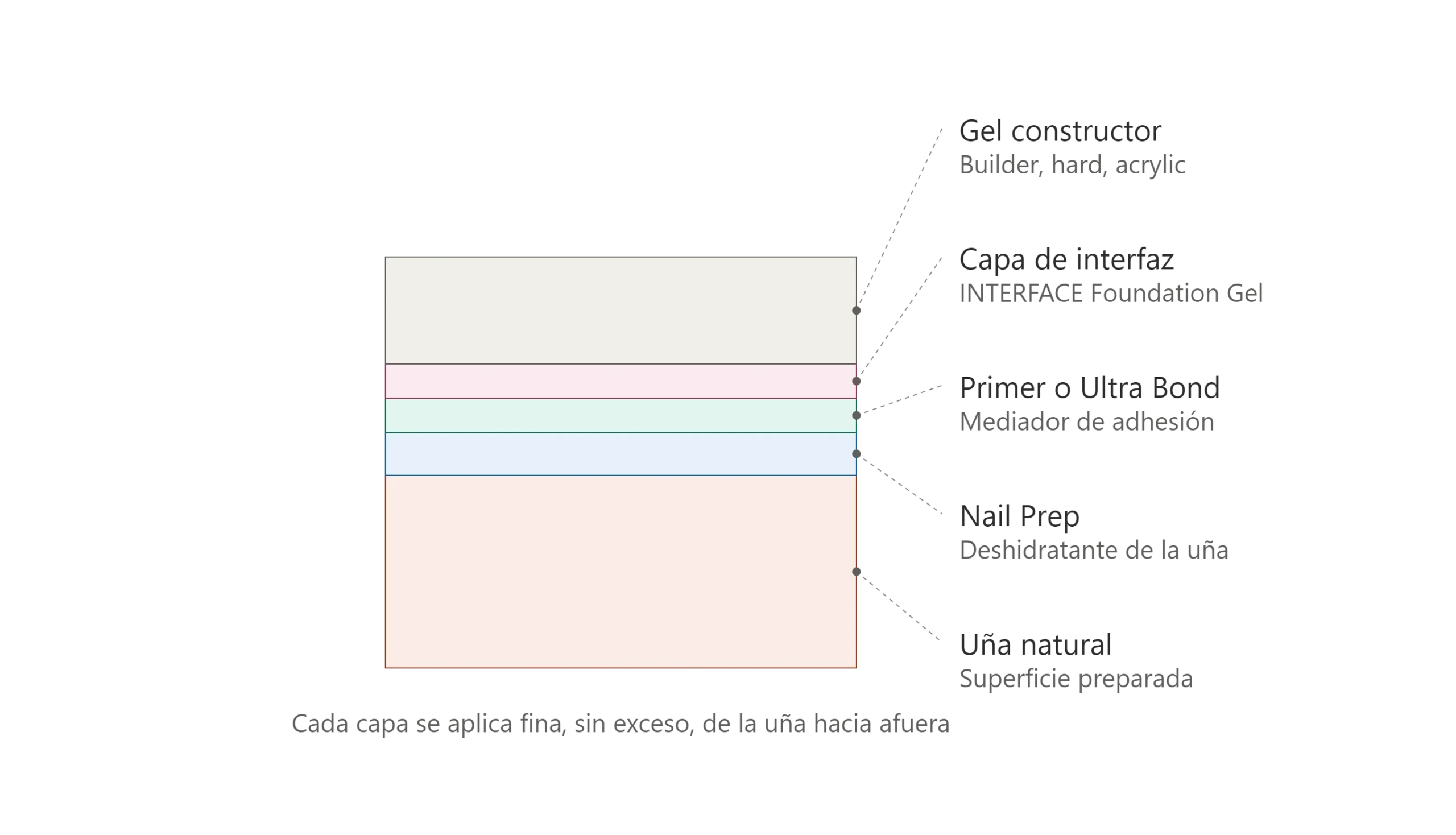 Diagrama de capas de adhesión: uña natural, Nail Prep, Ultra Bond, capa de interfaz e Interface Foundation Gel