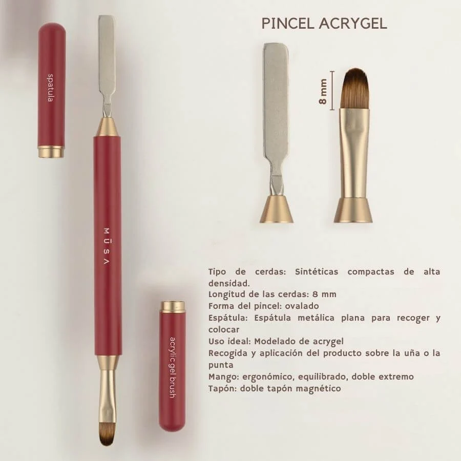 Pincel lengua de gato número 6: para qué sirve y cómo usarlo