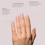 Tips Soft Gel Press On Natural Coffin Corta 02 Blush - 240pz